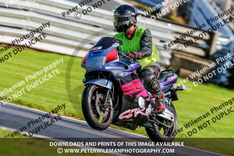 PJ Motorsport 2019;anglesey;brands hatch;cadwell park;croft;donington park;enduro digital images;event digital images;eventdigitalimages;mallory;no limits;oulton park;peter wileman photography;racing digital images;silverstone;snetterton;trackday digital images;trackday photos;vmcc banbury run;welsh 2 day enduro